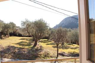 Апартаменты Apartments Todorovic Петровац Апартаменты с 1 спальней-13